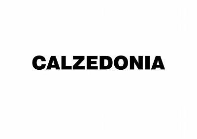 Resultado de imagen de calzedonia logo