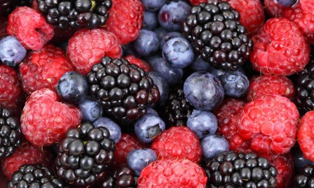 ¡Desintoxícate! – Las 10 mejores frutas para después de las fiestas